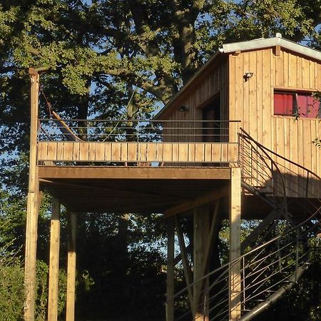 La Cabane Perchee Du Faucon Frechou-Frechet Eksteriør billede