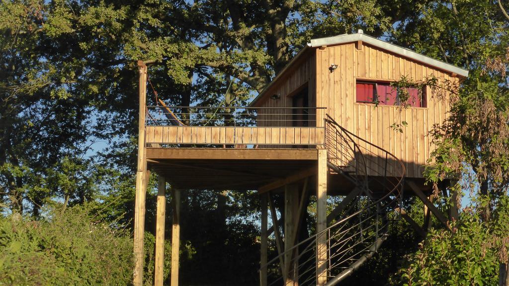La Cabane Perchee Du Faucon Frechou-Frechet Eksteriør billede